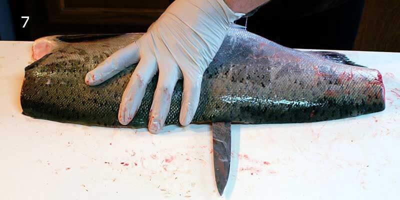 Knifestock BLOG - Kako pravilno filetirati lososa